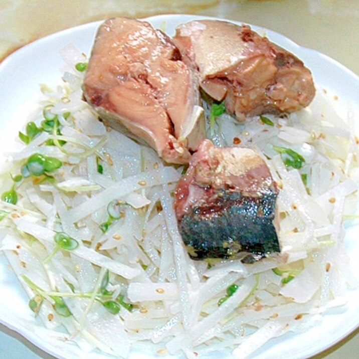 鯖の水煮缶アレンジ!鯖と大根と貝割れのマヨサラダ♪